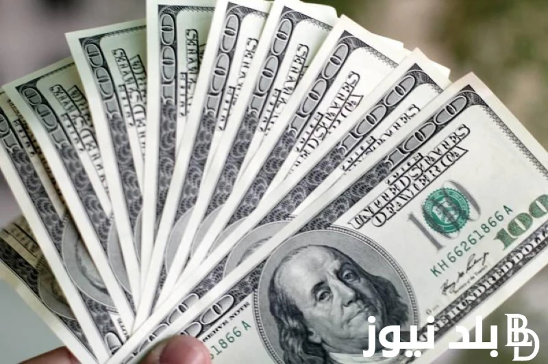 تذبذب العملة الخضراء.. سعر الدولار في السوق السوداء في مصر اليوم الجمعه 28 يونيو 2024 مقابل العمله المصرية تذبذب سعر الدولار مقابل الكثير من العملات