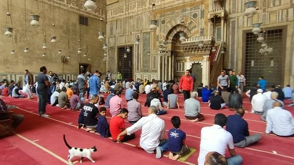 بث مباشر.. شعائر صلاة الجمعة من مسجد السلطان حسن بالقاهرة ينقل التليفزيون المصري، شعائر صلاة الجمعة اليوم من مسجد السلطان حسن بالقاهرة، وتبدأ شعائر
