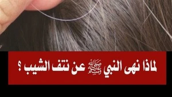 لماذا نهى النبي ﷺ عن نتف الشيب ؟ لماذا نهى النبي ﷺ عن نتف الشيب ؟أن النبي صلى الله عليه وسلم نهى عن نتف الشيب وقال: إنه نور المسلمالراوي: عبدالله بن عمرو المصدر: صحيح الترمذيالصفحة