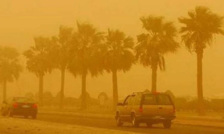 تطورات أحوال الطقس في مصر.. أجواء شديدة الحرارة على القاهرة تطورات أحوال الطقس في مصر.. أجواء شديدة الحرارة على القاهرة الاربعاء 19 يونية 2024 08:29 مساء ----- . -