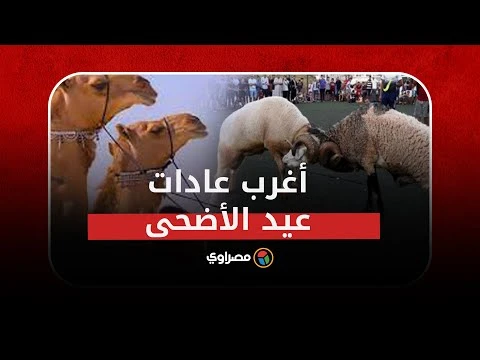 عادات العيد عند المسلمين: حلوى وكعك بالذهب وأسود وفيلة في مسيرات حرص أعيان الناس وعامتهم على التجمل بالأعياد، حتى إن الرجال كانوا يتزينون بالصبغ بالحناء والسواد وأجود العطور. وانتق