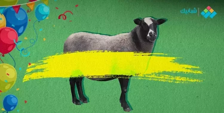 موعد صلاة عيد الأضحى 2024 في الواسطى وناصر وإهناسيا خاطبت مديرية الأوقاف في محافظة بني سويف الإدارات التابعة لها في مراكز الواسطى وبوش وإهناسيا وببا