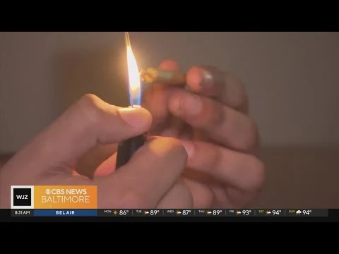 تعاطي ماريغوانا جائز بميريلاند الأمريكية وإلغاء 175 ألف حكم إدانة تعتزم ميريلاند الأمريكية إلغاء 175 ألف حكم إدانة ضد أشخاص بتهمة تعاطي الماريغوانا.