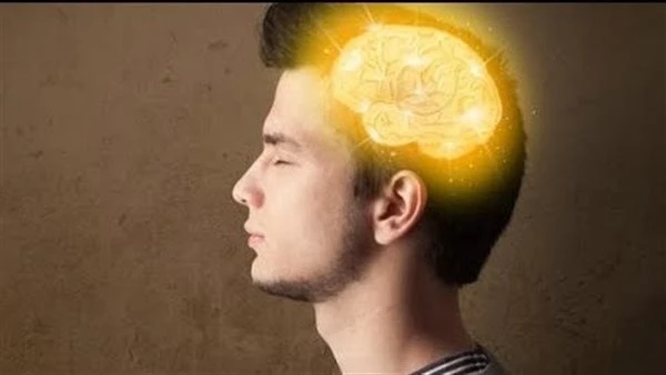 مفتاح الصفاء الذهني والتميز العقلي.. السر في هذه العشبة الخارقة يرغب الكثير من الأشخاص في تحسين القوى الذهنية للمخ ولكنهم لا يعلمون أن إكليل الجبل هو