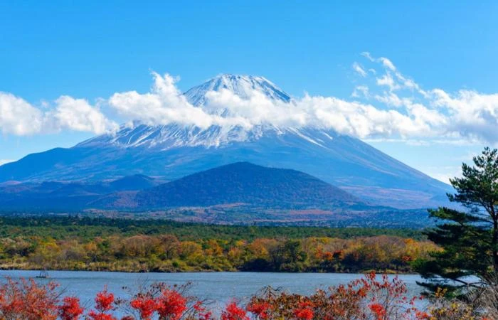 استمتع مغامرة لا تنسى عند تسلق استمتع مغامرة لا تنسى عند تسلق سفاري نت متابعاتفي اليابان، جبل فوجي (3776 مترا) هو الأكثر ارتفاعا؛ كان عبارة عن بركان نشط، أما اليوم فيمثل نقطة من نق