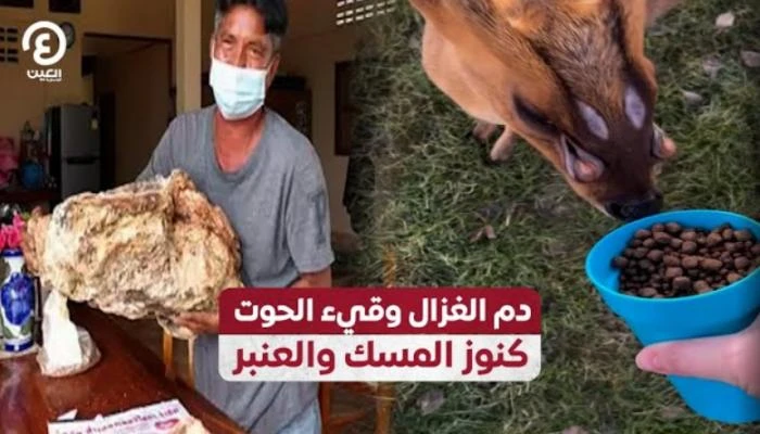 دم الغزال وقيء الحوت.. كنوز المسك والعنبر يعتبر المسك من أقدم العطور المستخدمة في آسيا والجزيرة العربية، ولا يزال يحظى بتقدير واسع نظرا لقيمته العالية وتأثيره على النفس. يتميز المس