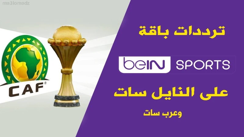 ثبتها واستمتع بمشاهدة بطولة يورو.. تردد قناة بي ان سبورت ماكس 2024 المفتوحة الناقلة لمباراة المانيا وسويسرا يبحث الكثير من متابعي بطولة أمم أوربا