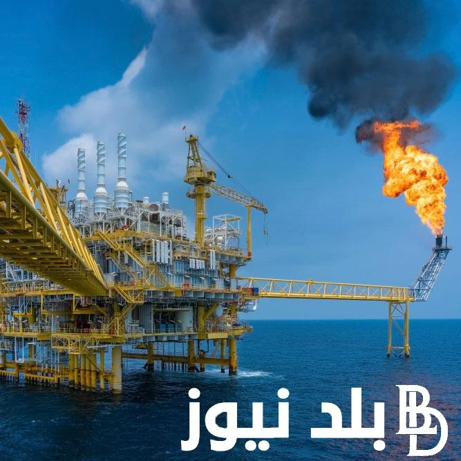 مدارس البترول الحكومية بعد الإعدادية 2025 لجميع الطلاب والأقسام المتاحة بها وأوراق التقديم المطلوبة مكن اكثر ما يبحث عنه جميع الطلبة الان هيه مدارس