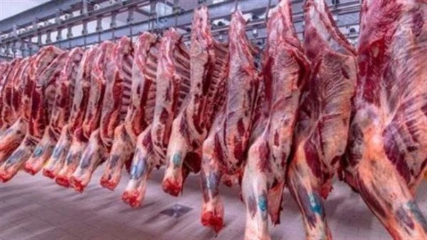 تطورات أسعار اللحوم الحمراء فى الأسواق اليوم الاثنين 24 يونيو 2024 كشفت شعبة القصابين تطورات أسعار اللحوم الحمراء فى الأسواق اليوم الاثنين والتى