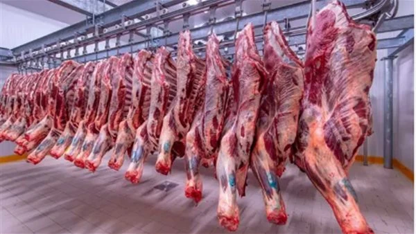 أسعار اللحوم الحمراء في الأسواق اليوم الثلاثاء 25 يونيو 2024 كشفت شعبة القصابين، عن اقتراب عودة انتظام محلات الجزارة مرة أخرى بعد الحصول على إجازة