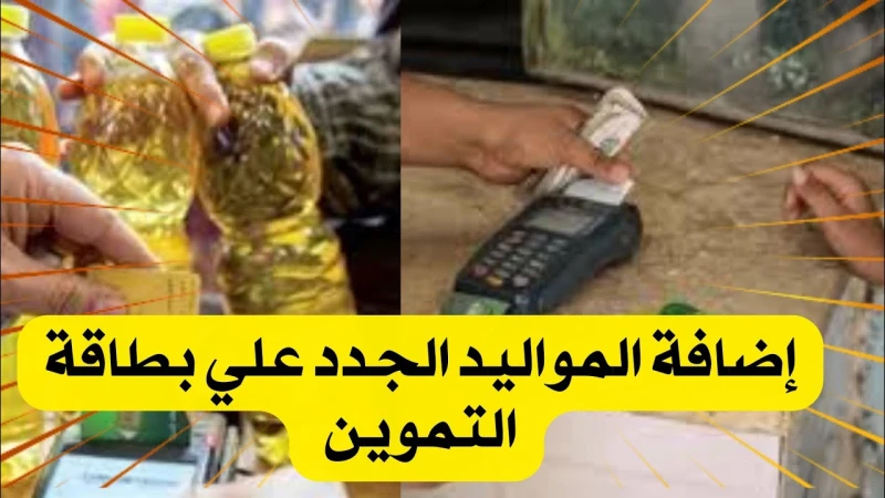 4 شروط لإضافة المواليد على بطاقة التموين.. وهذه الخطوات المتبعة أتاحت وزارة التموين والتجارة الداخلية في مصر إمكانية وضع المواليد على بطاقة التموين