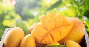 ..عايز ترطب على نفسك وتتحكم في وزنك.. أضف هذا المكون إلى عصير المانجو..تفاصيل تتابع الان تفاصيل ما ورد عن عايز ترطب على نفسك وتتحكم في وزنك.. أضف هذا