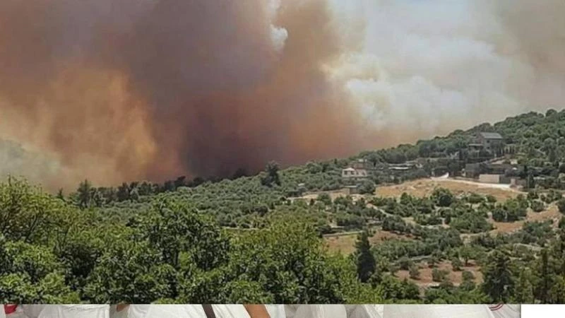 التعرف على هوية منفذي الحرائق وسيتم القبض عليهم قريبا تاريخ النشر : الثلاثاء 11:29 2024-06-18 منوعات : أكد وزيرأكد وزير الزراعة المهندس خالد الحنيفات