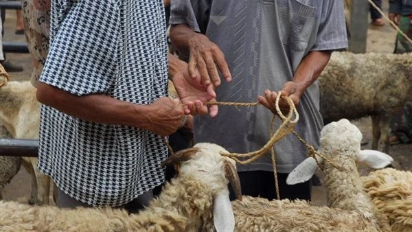 تحذير للمواطنين غرامة 5 آلاف جنيه لهؤلاء في أول أيام عيد الأضحى مع بداية اليوم الأول من عيد الأضحى المبارك، وخاصة عقب صلاة عيد الأضحى، يتجه المسلمون