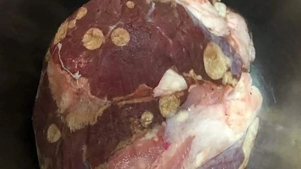 الطب البيطري يكشف سبب النقط البيضاء باللحم عند وضعها في الفريزر نشرت الدكتورة سماح نوح رئيس قسم الإرشاد البيطري على صفحتها الشخصية بالفيسبوك منشور عن