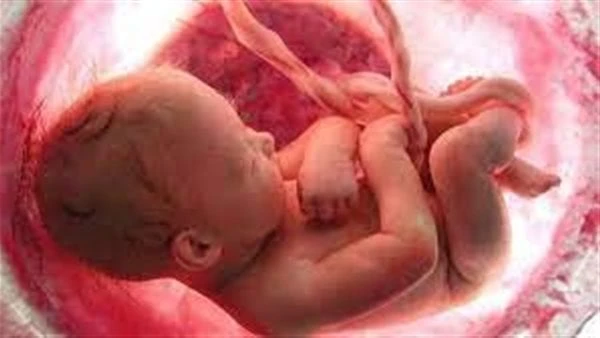 حكم الاستفادة من الأجنة المجهضة في التجارب العلمية والعلاج وزراعة الأعضاء؟ قالت دار الإفتاء، إن الانتفاع بالأجنة المجهضة في التجارب العلمية والعلاج