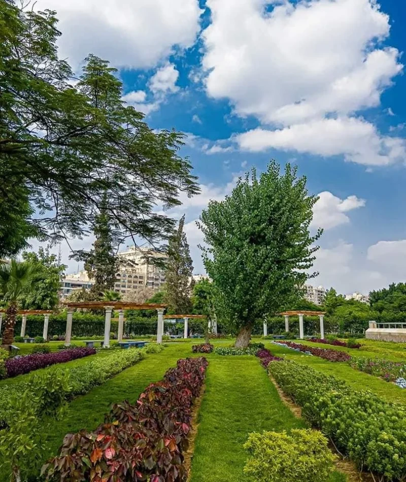 السيسي أفسد حديقة الميرلاند على هذا النحو: ربنا يبارك له طبعا السرسجية مش ساكتين وعاملين دوشة كبيرة وبينشروا الشائعات حول حديقة الميرلاند.. واحنا بنرد عليهم ونقولهم شوفوا السيسي أف