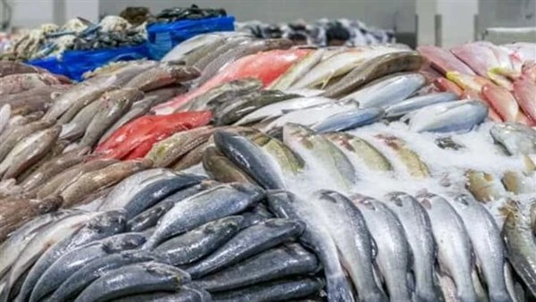 أسعار الأسماك والجمبري اليوم الثلاثاء 25 يونيو 2024 شهدت أسعار الأسماك والجمبري، اليوم الثلاثاء 25 يونيو 2024، حالة من الانخفاض بين أغلب الأنواع،