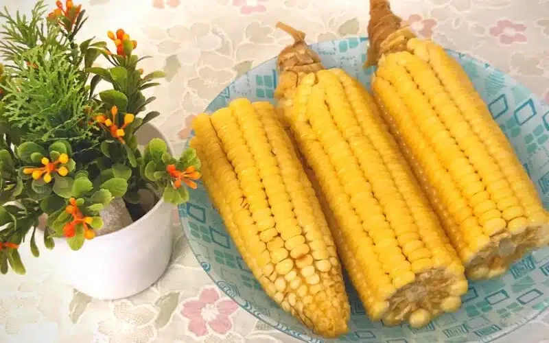 سعر طن الذرة الصفراء اليوم الثلاثاء 25 يونيو.. تراجع وهبوط جديد سعر الذرة البيضاء.. تراجع سعر طن الذرة الصفراء اليوم الثلاثاء الموافق 25 يونيو 2024