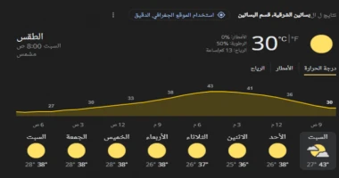 تتوقع هيئة الأرصاد الجوية، أن يشهد اليوم السبت، استمرار ذروة الموجة شديدة الحرارة على أغلب الأنحاء، ويسود طقس شديد الحرارة نهارا على أغلب الأنحاء،