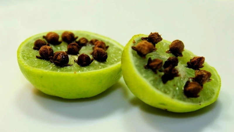 السر من محلات الحلويات..أفضل 3 طرق للتخلص من الذباب في المنزل نهائيا بمكونات طبيعية أفضل 3 طرق للتخلص من الذباب نهائيا بمكونات طبيعية، تعتبر حيل