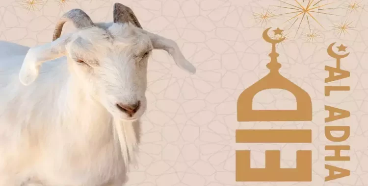 موعد صلاة عيد الأضحى 2024 في أخميم والبلينا وجرجا حددت مديرية الأوقاف في محافظة سوهاج مواعيد إقامة صلاة عيد الأضحى المبارك لعام 2024 في المركز