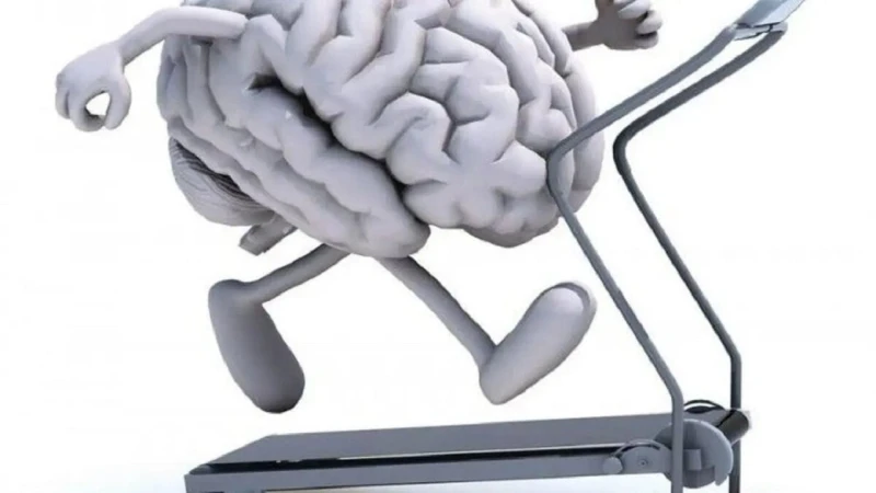 ابنك هيبقى من المتفوقين..نصائح لتقوية الذاكرة بالأعشاب والفيتامينات وأسباب ضعف الذاكرة نصائح لتقوية الذاكرة نقدمها لكل أم لديها أطفال تعاني من ضعف