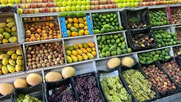 المانجو ب50 والعنب ب40 جنيها.. أسعار الفاكهة بالأسواق اليوم فيديو شهدت أسعار الفاكهة بالأسواق اليوم السبت 2262024، استقرارا نسبيا فى بعض الأسعار.في