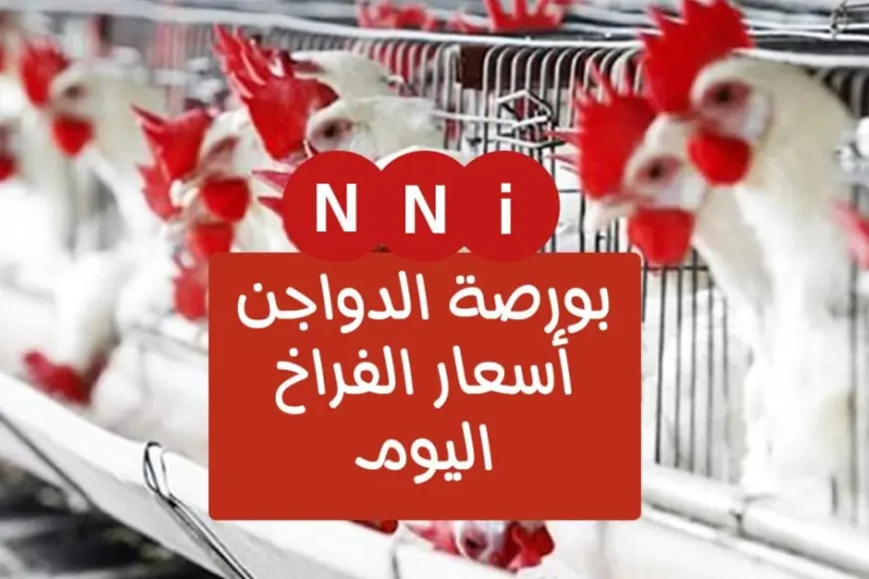 اسعار الفراخ البيضاء اليوم بورصة الدواجن المصرية الاحد 23 يونيو 2024 وسعر كرتونة البيض في المحلات شهدت أسعار الفراخ البيضاء اليوم الأحد 23-6-2024،