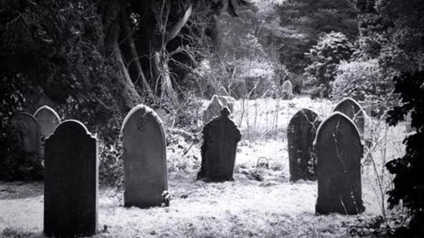 قصة حارسة المق1بر جميع الفصول كاملة رواية سچينة آدم الفصل الأول 1 بقلم حور غانمحبتيههتصدقيني لو قولتلك اني مش عارفه احدد مشاعريطپ ناويه تعملي ايه مفضلش غير اسبوع وكل حاجه هتنتهي حو