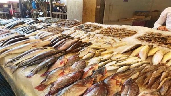 أسعار الأسماك اليوم الأحد 23 يونيو 2024.. البلطي ما بين 63 و67 جنيها للكيلو شهدت أسعار الأسماك اليوم الأحد 23 يونيو 2024، حالة من الاستقرار داخل سوق