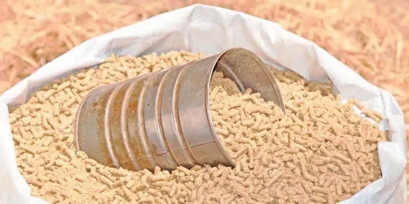 أسعار الأعلاف اليوم الإثنين 24 يونيو.. طن البادي ب 21800 جنيها سعر علف الإيمان.. استقرت أسعار الأعلاف اليوم الإثنين الموافق 24 يونيو 2024 خلال