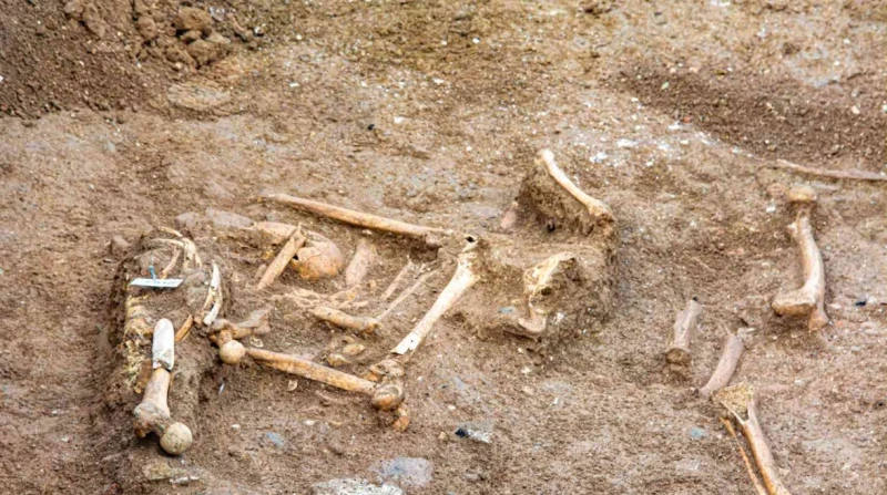 بعد ضبطه أخيرا.. قاتل أسرته بالغربية: طمعت في الميراث بعد 6 أيام من وقوعها، ضبطت أجهزة الأمن الشاب المتهم بقتل والدته وشقيقته وشقيقه في مركز قطور