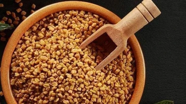 ماذا يحدث لجسمك عند تناول الحلبة مع الحليب؟ قدم الدكتور أحمد صبري خبير التغذية عبر صفحته الخاصة بموقع التواصل الإجتماعي فيسبوك ، فوائد شراب الحلبة مع