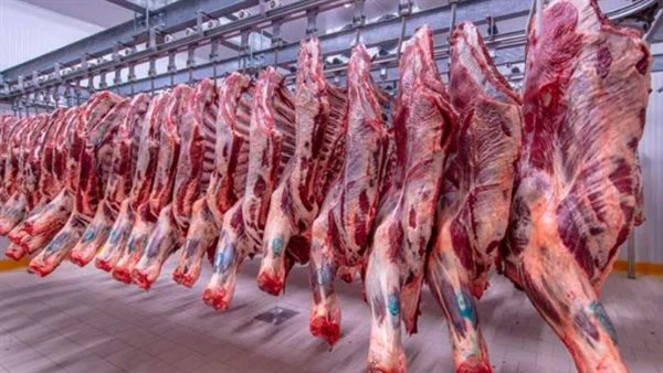 أسعار اللحوم الحمراء في الأسواق اليوم الأربعاء 26 يونيو 2024 أسعار اللحوم البلدى لدى محلات الجزارة.. أعلنت شعبة القصابين عن تطورات أسعار اللحوم