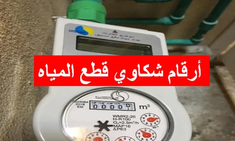 أرقام شكاوي قطع المياه .. في القاهرة والجيزة والمحافظات (ساخن وواتساب) أرقام شكاوي قطع المياه .. في القاهرة والجيزة والمحافظات (ساخن وواتساب) الاثنين