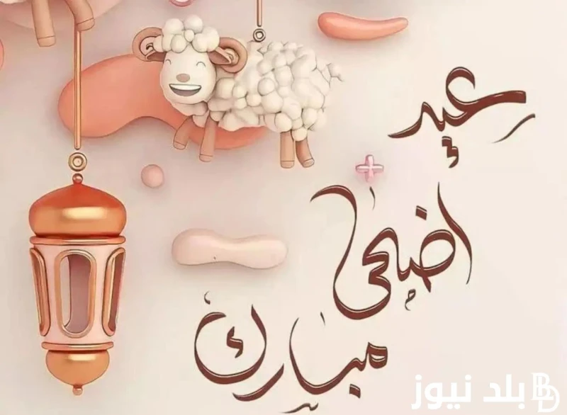 حتخرج فين في العيد.. أفضل أفلام عيد الأضحى المبارك ٢٠٢٤ اللعب مع العيال - أولاد رزق بين الكوميديا والأكشن أفضل أفلام عيد الأضحى المبارك ٢٠٢٤ مع