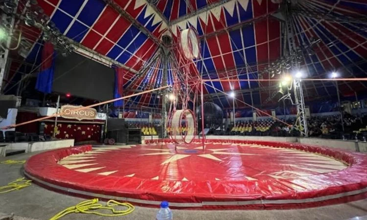 السيرك القومي .. كامل العدد أ ش أ وكانت وزيرة الثقافة الدكتورة نيفين الكيلاني قد وجهت بمتابعة كافة التجهيزات والاستعدادات بالمواقع الثقافية المختلفة