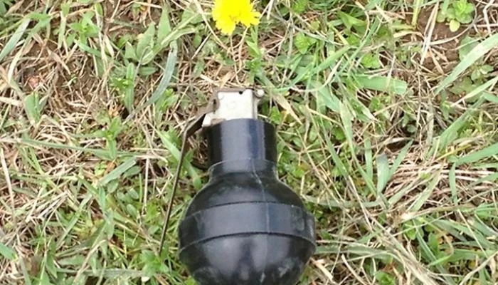 قاتل كريه الرائحة.. أم القنابل تصعق الأهداف قاتل كريه الرائحة.. أم القنابل تصعق الأهداف ----- . - 322.-.2-2220242062155-214749----_700400.