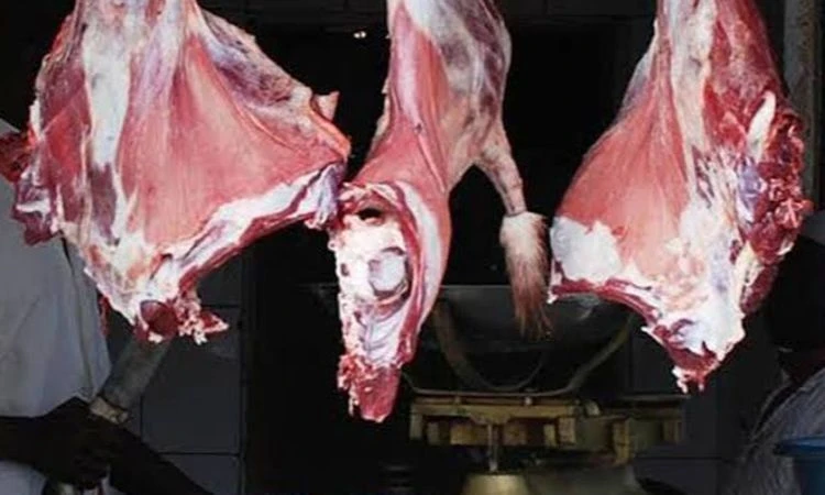 الكندوز 285 والضأن البلدي 360.. اعرف أسعار اللحوم في التموين أول أيام عيد الأضحى الكندوز 285 والضأن البلدي 360.. اعرف أسعار اللحوم في التموين أول