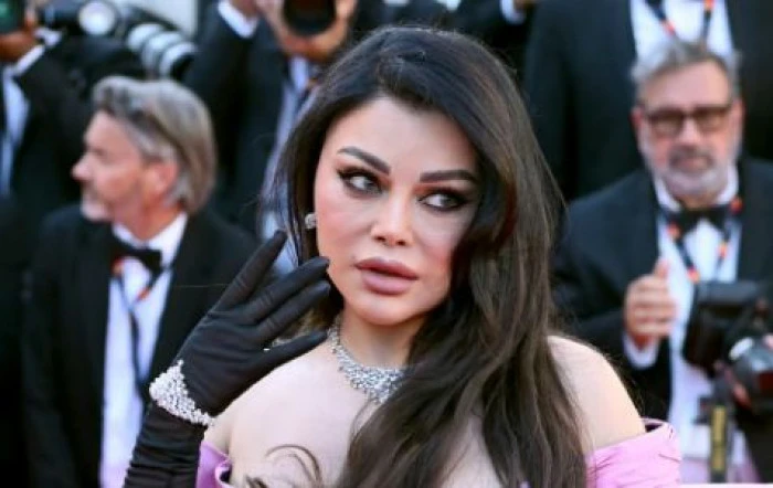 هيفاء وهبي توجه رسالة حادة لمنتقديها في مهرجان كان وجهت الفنانة اللبنانية هيفاء وهبي رسالة حادة لمنتقديها في مهرجان كان السينمائي. وقد أعربت الفنانة