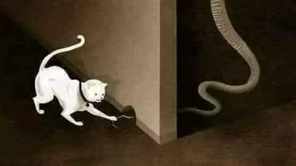 قصة الفيلا المسکونه بمدينة جده في أحد أحياء مدينة جدة .. وبالتحديد في جنوب مدينة جدة ..قام أحد الأثرياء ببناء فيلا رائعة في التصميم .. وقدصرف عليها