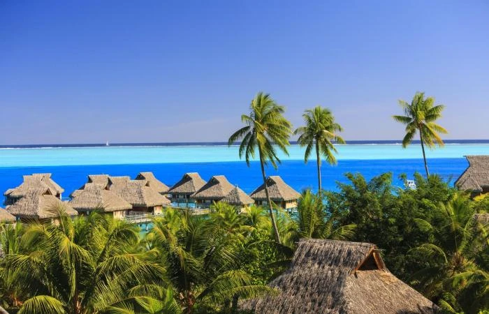 أجمل الأنشطة السياحية في ننصحك بتجربتها سفاري نت متابعاتتعد بورا بورا جوهرة بولينيزيا الفرنسية، وتحتل المرتبة الأولى في العديد من قوائم السفر. بالإضافة إلى جمالها الطبيعي الذي لا م