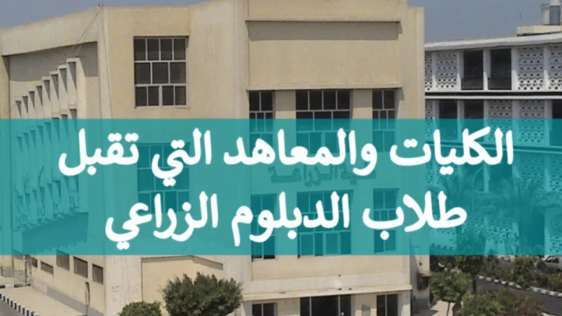 اعرفها الآن.. الكليات المتاحة لدبلوم زراعة 2024 بعد إعلان نتيجة الدبلومات الفنيةمنذ إعلان نتائج الدبلومات الفنية في مصر تزايد اهتمام الطلاب بالاطلاع