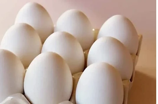 ما هو تفسير حلم البيض لابن سيرين؟ تفسير حلم البيض، هل رؤية البيض تبشر بالخير أم تنذر بالسوء؟ وما هي الدلالات السلبية لحلم البيض؟ وإلى ماذا يشير البيض