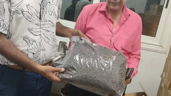 تموين القاهرة تحرر 300 محضر مخالفات لمحال تجارية وأسواق وجهت مديرية تموين العاصمة ضربات موجعة من خلال الحملات التفتيشية والرقابية المكثفة علي الأسواق