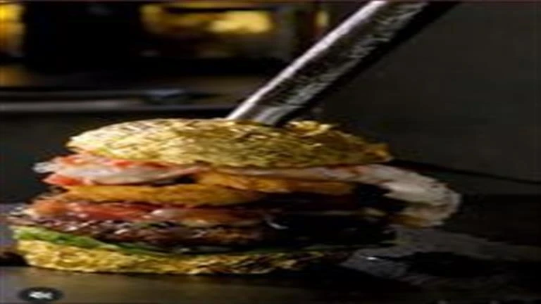 أغلى برجر في العالم.. سعره يتخطى ال 26 ألف جنيه لهذا السبب لايف ستايل شاهد المقال التالي من صحافة مصر عن أغلى برجر في العالم سعره يتخطى ال 26 ألف