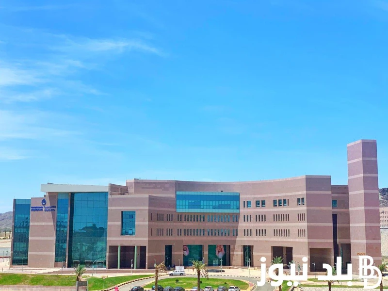 سجل الآن برامج الماجستير جامعة الباحة 2024 لكل التخصصات ورابط التقديم من خلال .. .() تعتبر جامعة الباحة من أهم الجامعات السعودية التي يتم العمل من