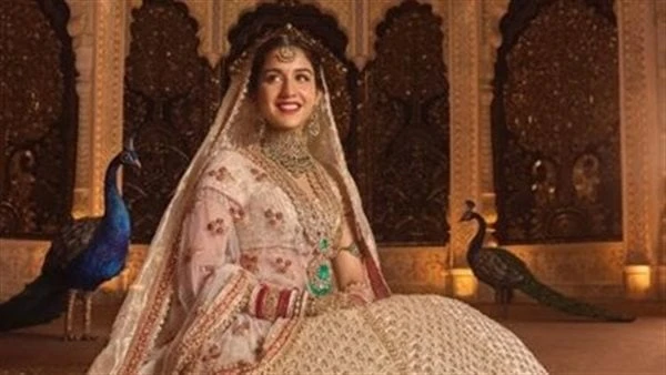 الاحتفالات استمرت 7 أشهر100 مليون إسترليني تكلفة زفاف نجل أغنى رجل بآسيا.. شاهداحتفل الملياردير الهندي وأغنى رجل في آسيا موكيش أمباني بزواج ابنه