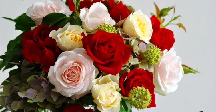 تعرف على تفسير رؤية الورود في المنام لابن سيرين الورود في المنام، من رموز الورد الحب والعطف والرقة والسمعة، وقد رأى الفقهاء أن رؤية الورود تعد مبشرة بالخير والمنفعة والحياة السعيدة